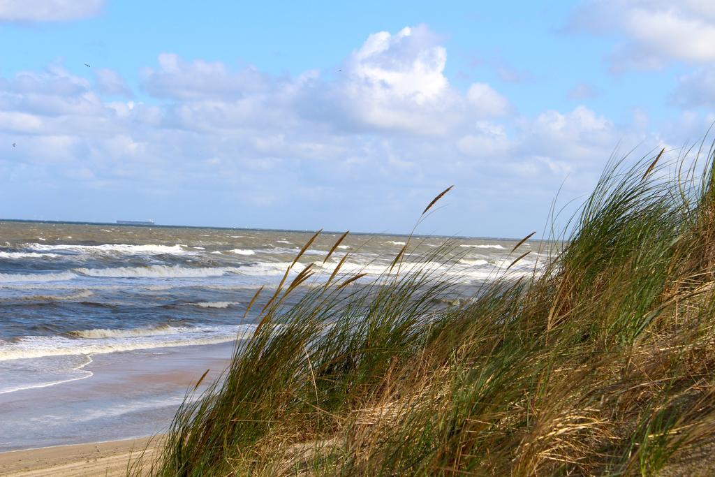 Hofje Van Maas Zandvoort Exterior photo